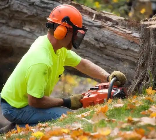 tree services Warrenton